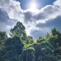 Building 10 at Bluegreen Vacations MountainLoft Resort ico