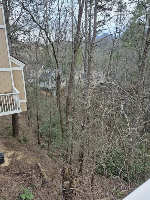 Building 8 at Bluegreen Vacations MountainLoft Resort 4