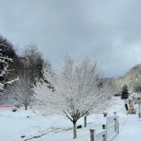 Building 11 at Bluegreen Vacations Blue Ridge Village Resort ico