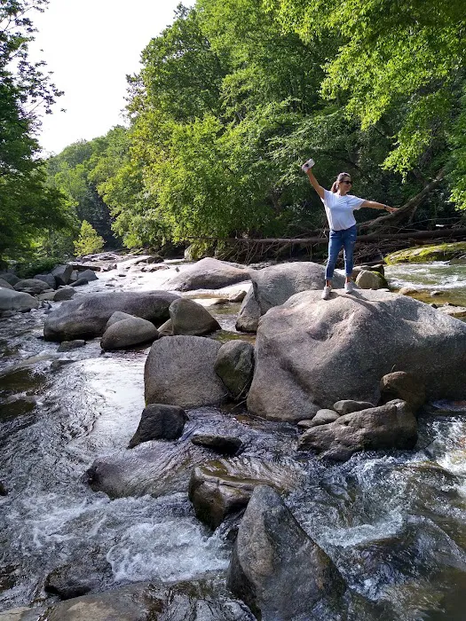 Blowing Rock Resort Venture 4