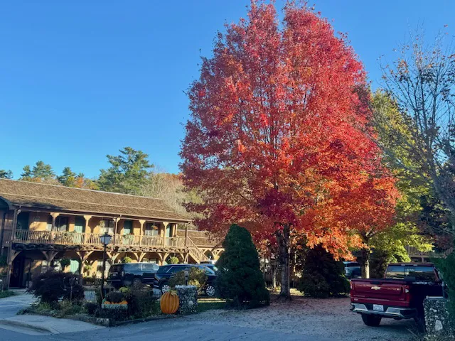 Hemlock Inn 