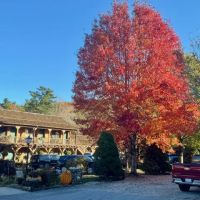 Hemlock Inn 
