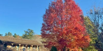 Hemlock Inn 