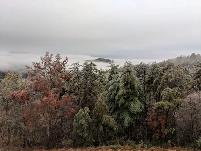 Eagle's Nest 4