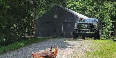 Barn Haven