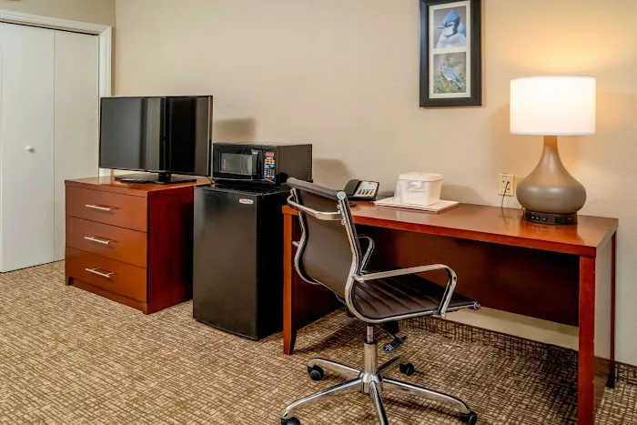 Comfort Inn & Suites 4