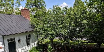 Black Dog Inn