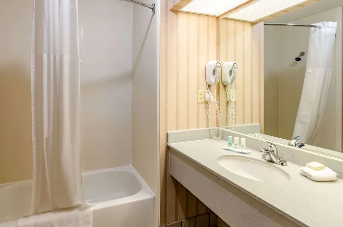 Quality Inn & Suites 4
