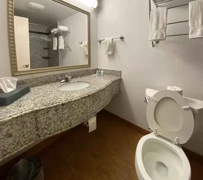 MainStay Suites Conover-Hickory 4