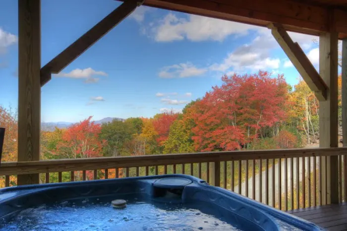 Carolina Cabin 4