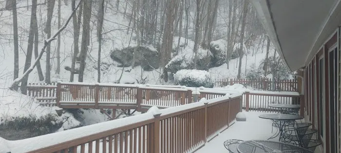 Family-Oriented Lodge in Blue Ridge Mountains - One Bedroom Lodge #1 4
