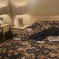 Family-Oriented Lodge in Blue Ridge Mountains - One Bedroom Lodge #1 ico