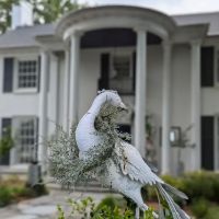 Boutique Auberge Boutique Inn- Passport To Luxury Inn ico