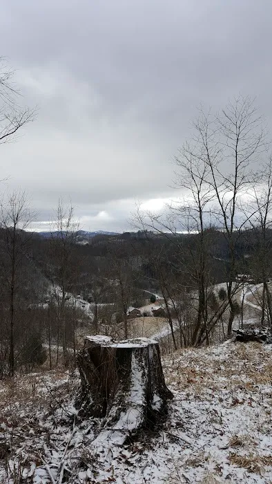 Mockingbird Mountain 4