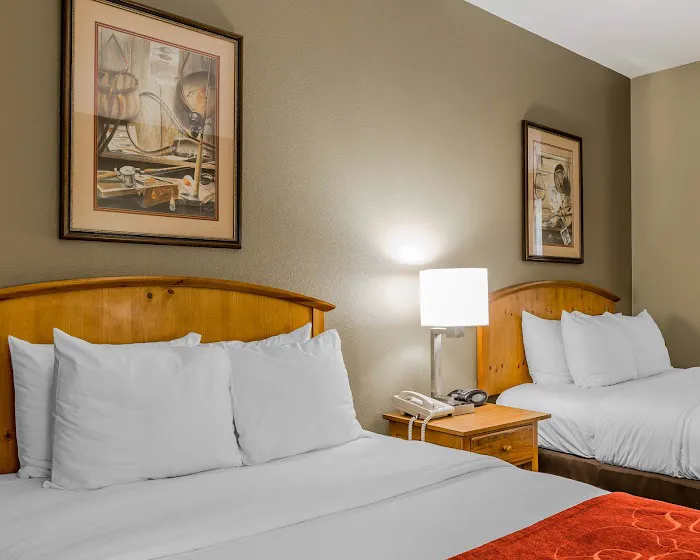 Comfort Suites Boone - University Area 4
