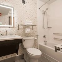 Holiday Inn Boone - University Area by IHG ico