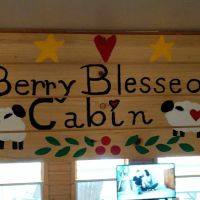 Berry Blessed Cottage ico