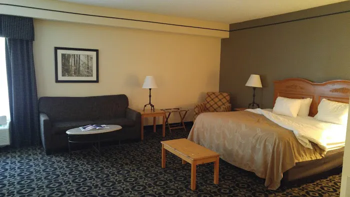 Quality Inn & Suites Boone - University Area 4