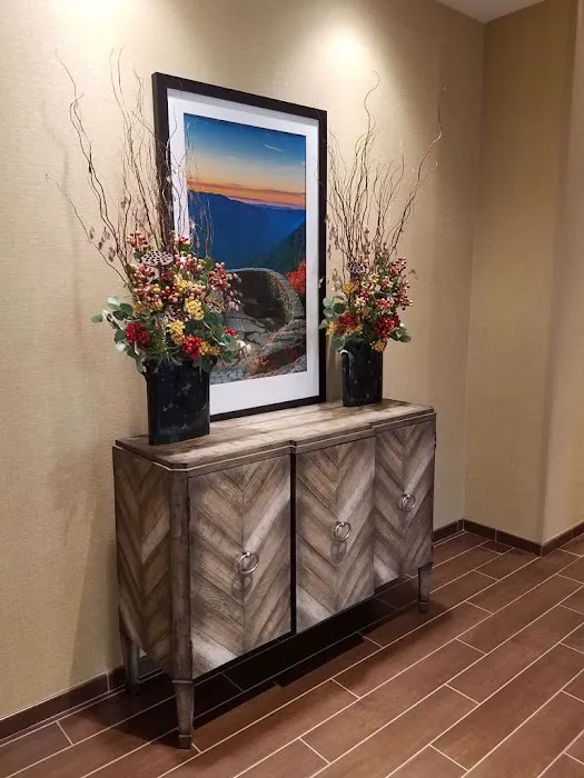 Hampton Inn & Suites Boone 4
