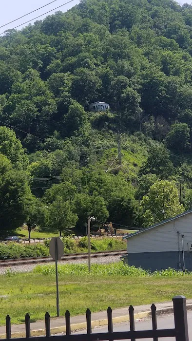 Blue Goose Saloon & Inn 4