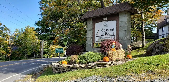 4 Seasons at Beech Mountain 4