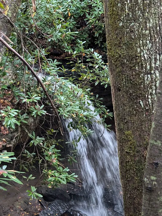 Twin Falls Resort State Park Lodge 2