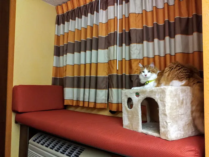 Microtel Inn & Suites by Wyndham Princeton 4