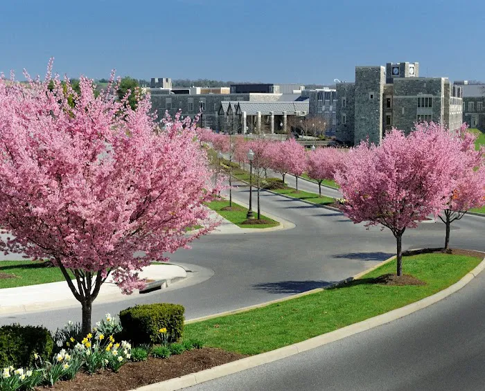 The Inn at Virginia Tech and Skelton Conference Center 5