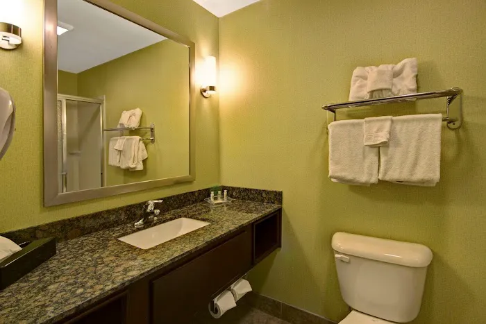 Holiday Inn Christiansburg Blacksburg by IHG 4