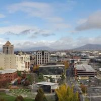 roanoke ico