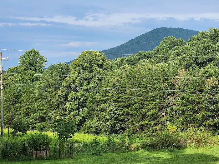 roanoke 4