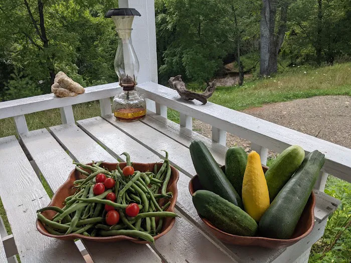 Wild Hare Retreat & Glampers 4