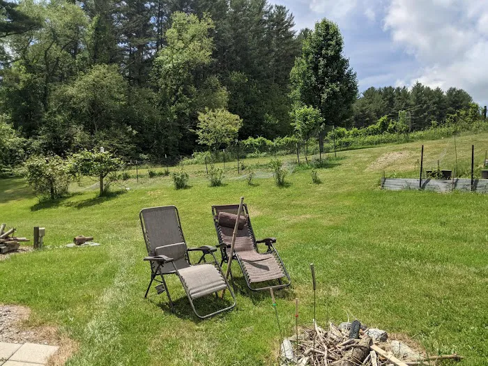 Wild Hare Retreat & Glampers 4