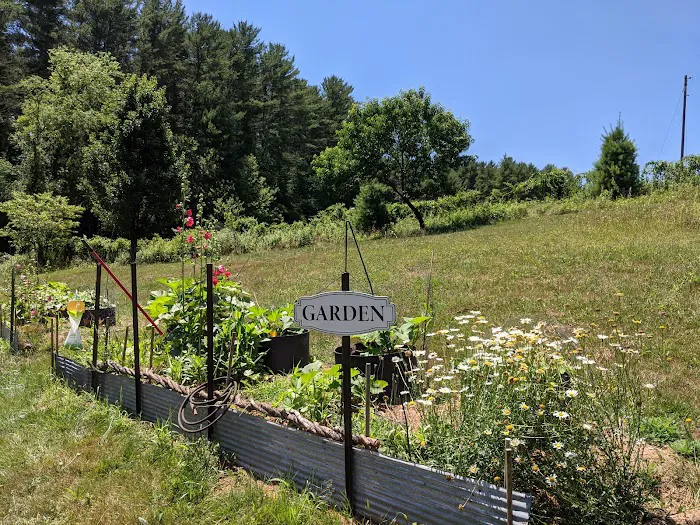 Wild Hare Retreat & Glampers 4
