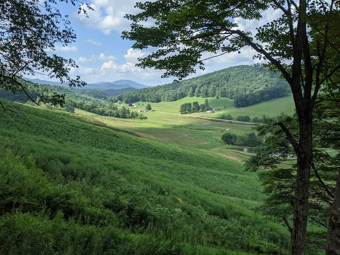 Blue Ridge Vistas 4