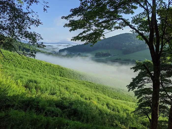 Blue Ridge Vistas 4