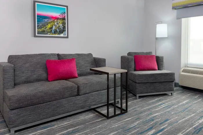 Hampton Inn and Suites-Winston-Salem/University Area NC 4
