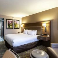 DoubleTree by Hilton Hotel Winston Salem - University ico