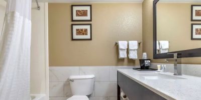 Comfort Inn & Suites Mocksville I-40