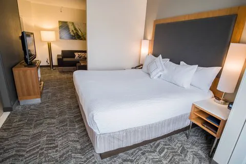SpringHill Suites Winston-Salem Hanes Mall 4