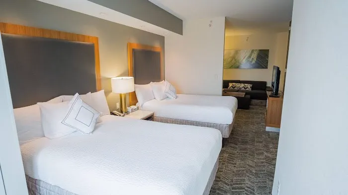 SpringHill Suites Winston-Salem Hanes Mall 4
