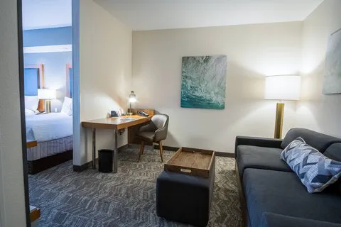 SpringHill Suites Winston-Salem Hanes Mall 4