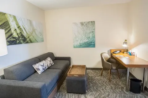 SpringHill Suites Winston-Salem Hanes Mall 4
