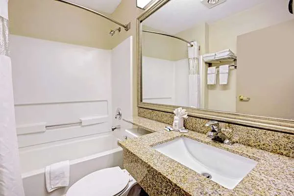 Microtel Inn & Suites by Wyndham Statesville 4