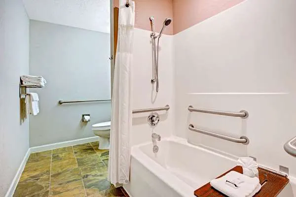 Microtel Inn & Suites by Wyndham Statesville 4