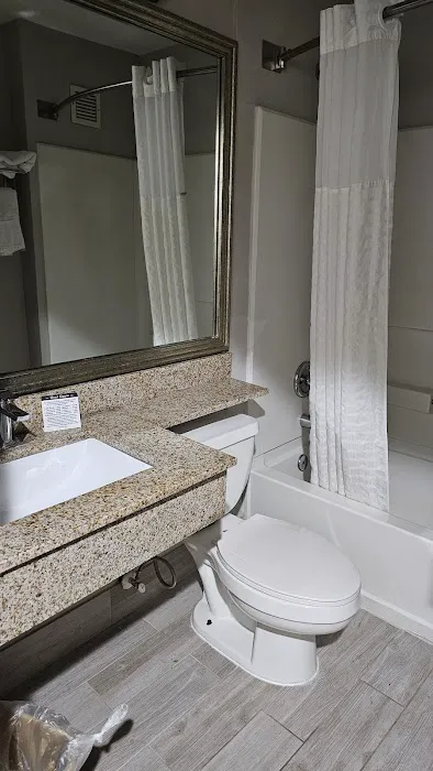 Microtel Inn & Suites by Wyndham Statesville 4