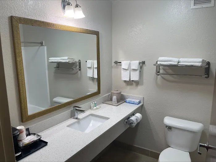 Quality Inn & Suites 4