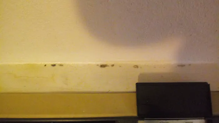 Economy Inn Sailsbury NC 4