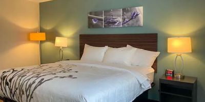 Sleep Inn & Suites - Coliseum Area