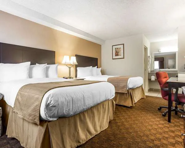 Quality Inn & Suites Coliseum 4